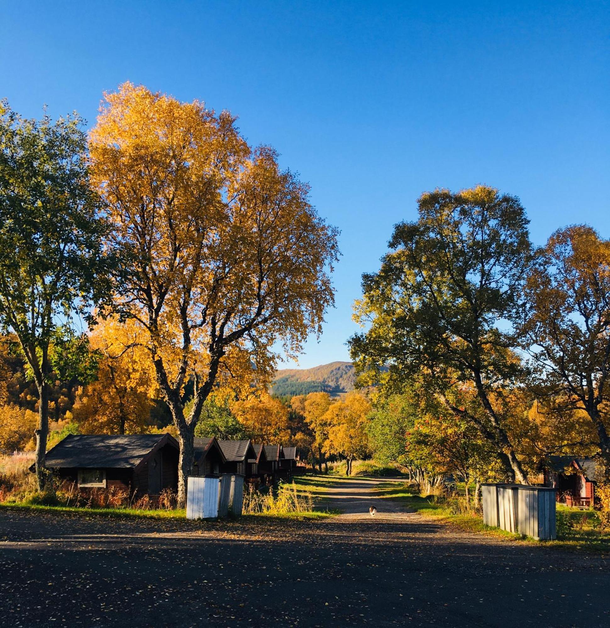 Sortland Camping Og Motell As Luaran gambar