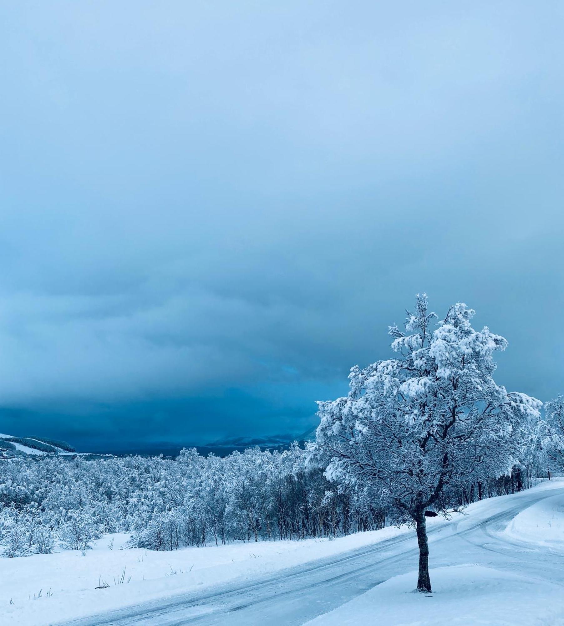 Sortland Camping Og Motell As Luaran gambar