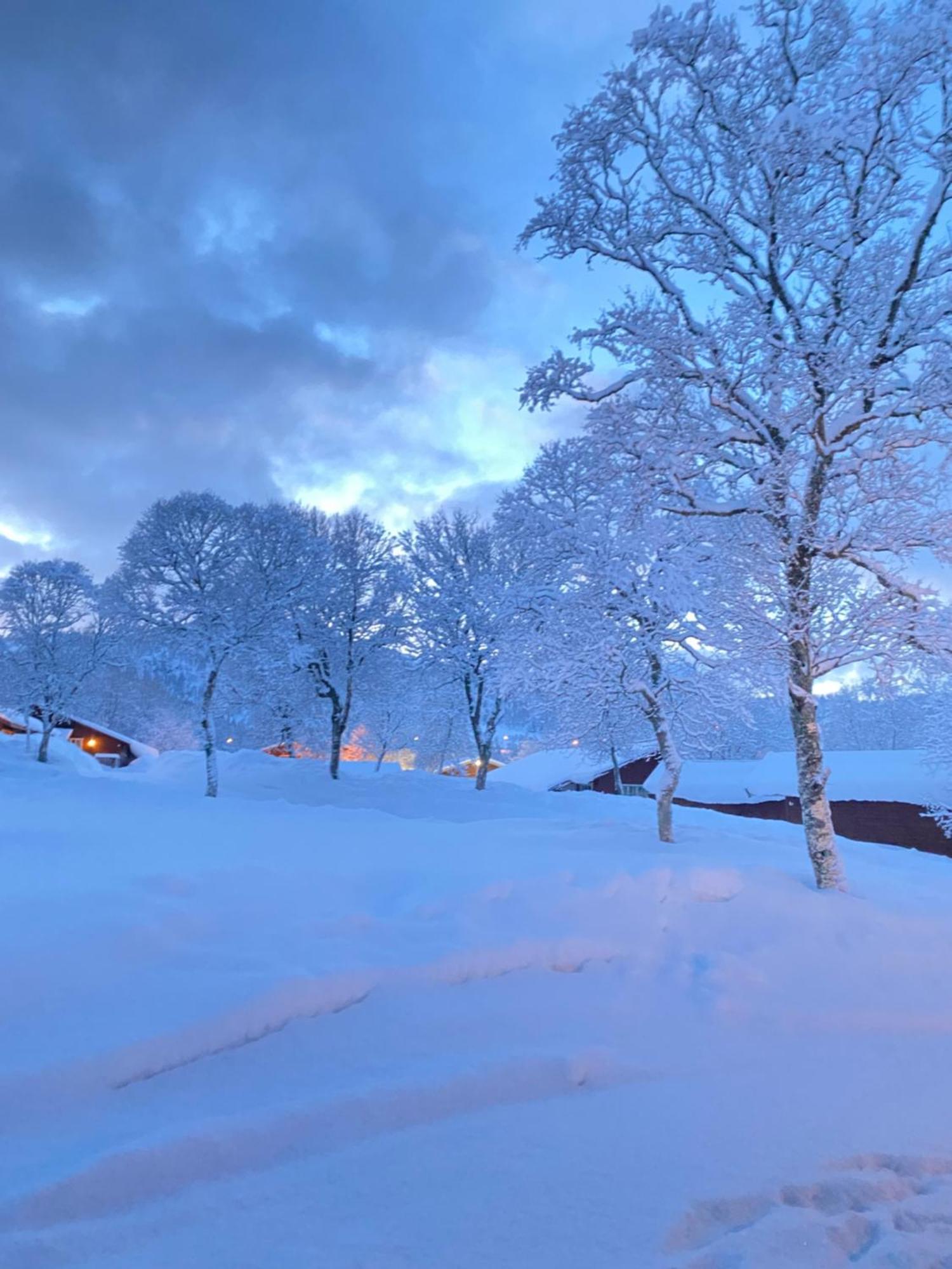 Sortland Camping Og Motell As Luaran gambar