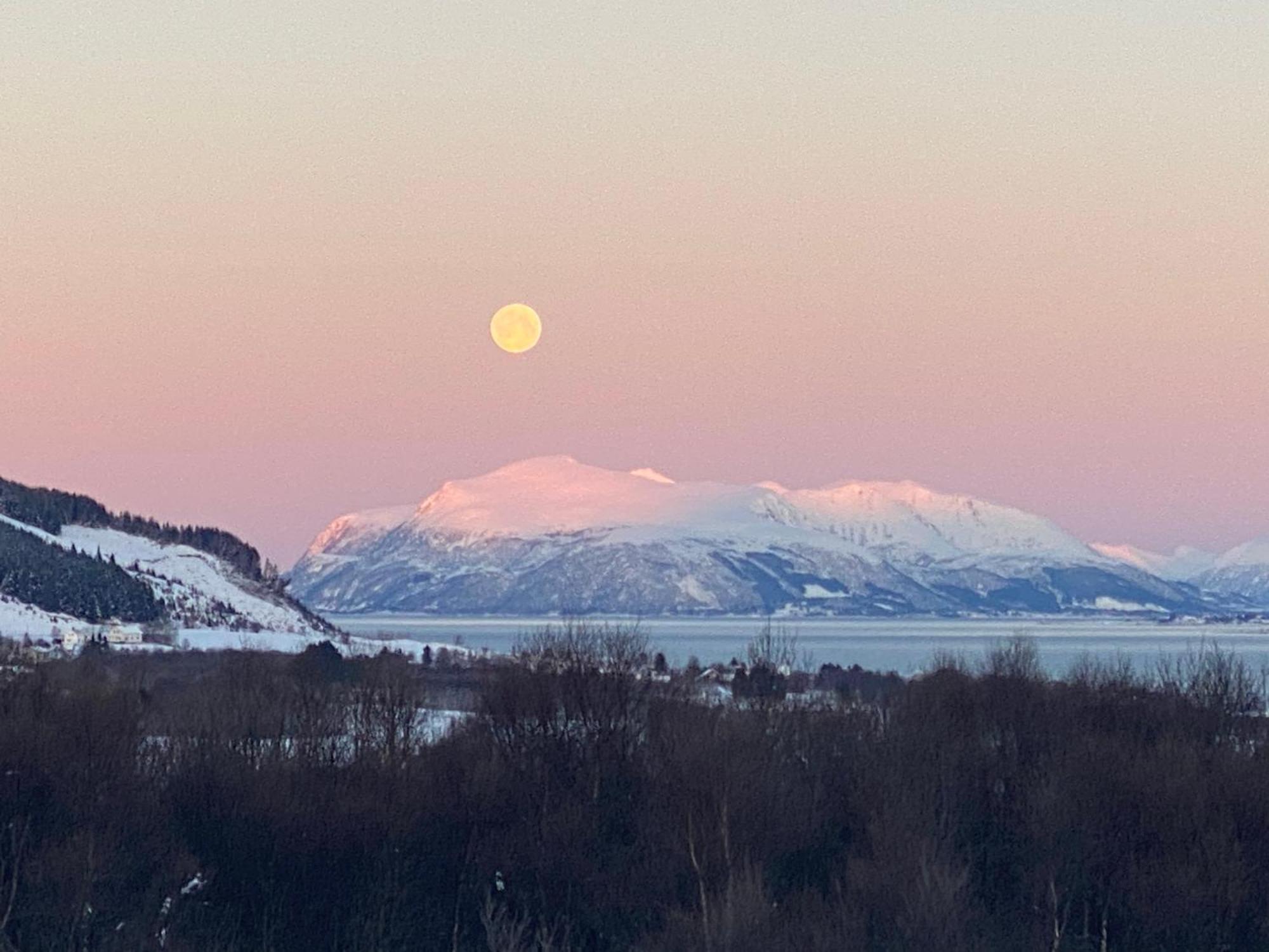 Sortland Camping Og Motell As Luaran gambar