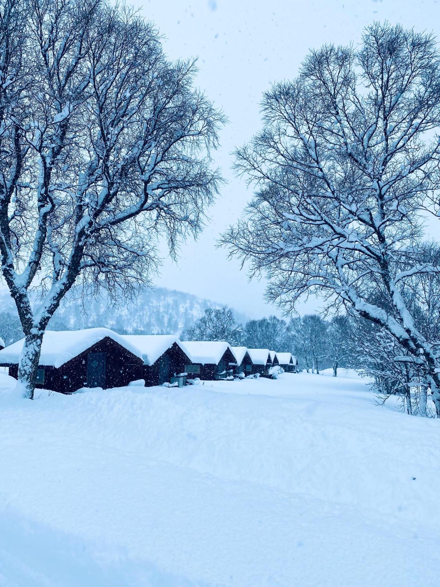 Sortland Camping Og Motell As Luaran gambar